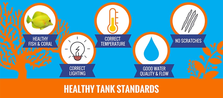 Healthy Tank Standards